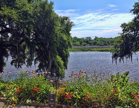 Magnolia Plantation 02