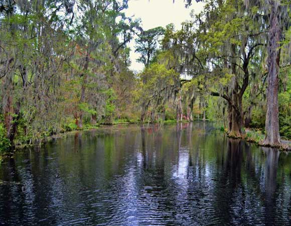Magnolia Plantation 07