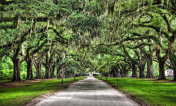 boone-hall-plantation-tour