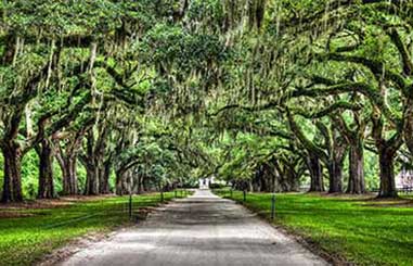 charleston-plantation-tours-01