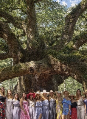 Charleston Winery Tour