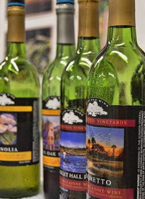 Charleston Winery Tour