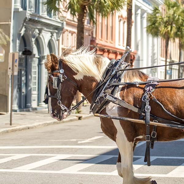 charleston-destination-management-square-01-78454f7e