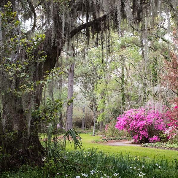 charleston-destination-management-square-04-cb3d2f30